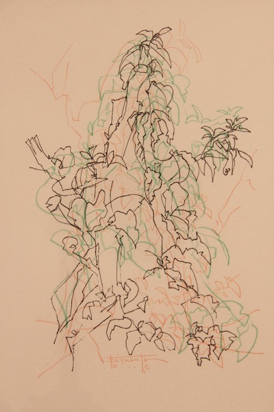 Leaf Drawing 4.